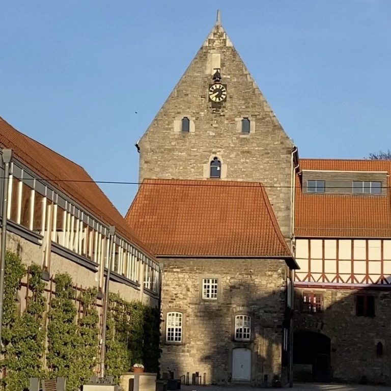 Rosen und Rüben